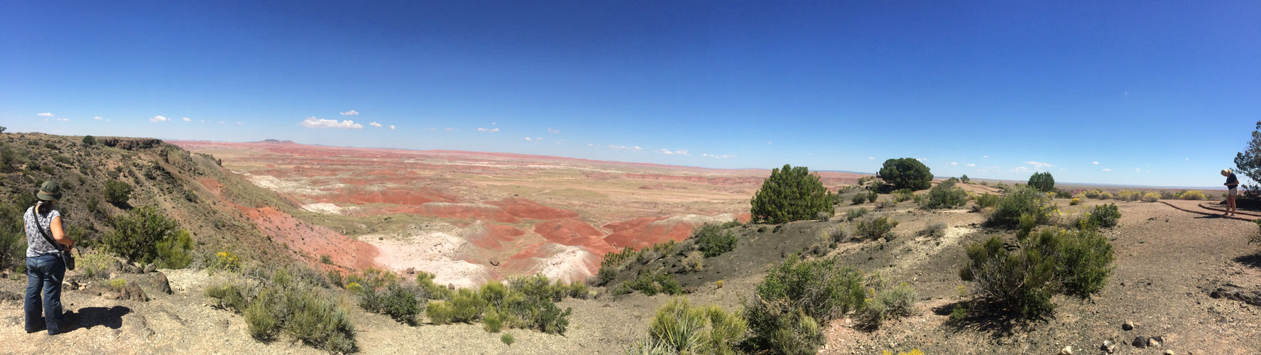 The Painted desert - panorama